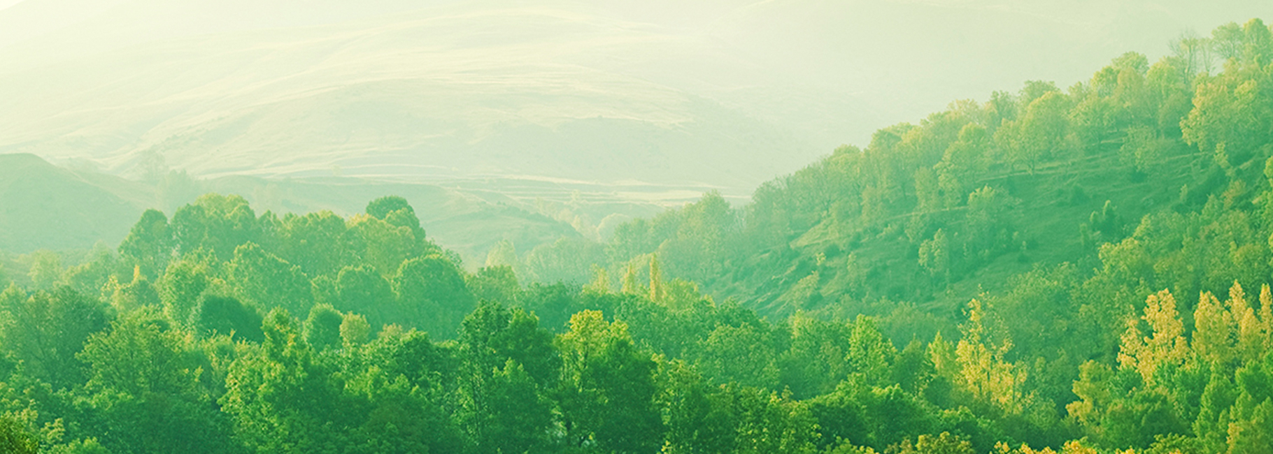 Vue verdoyante sur forêts et collines